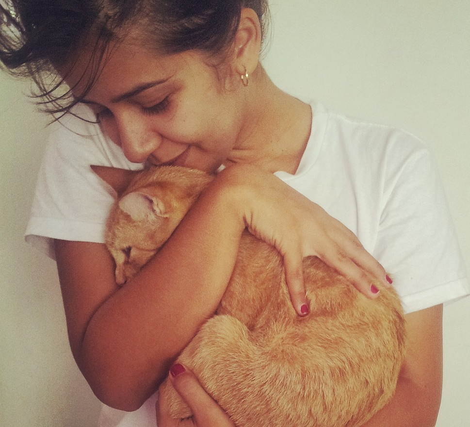 Tout savoir sur le ronronnement des&nbsp;chats